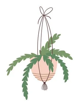Plant hanging in pot Stock Illustration