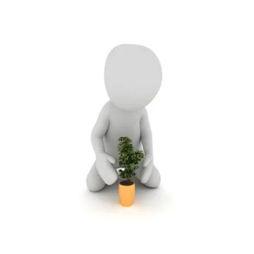 Plant Stock Illustration