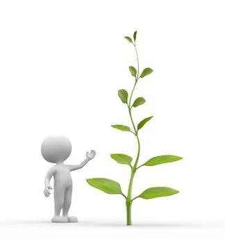 Plant Illustrazione stock