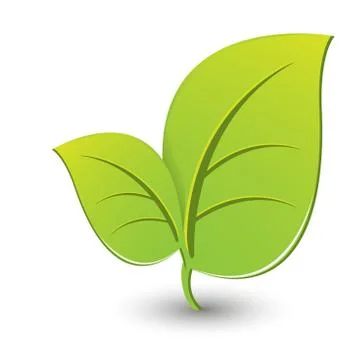 Plant Stock Illustration