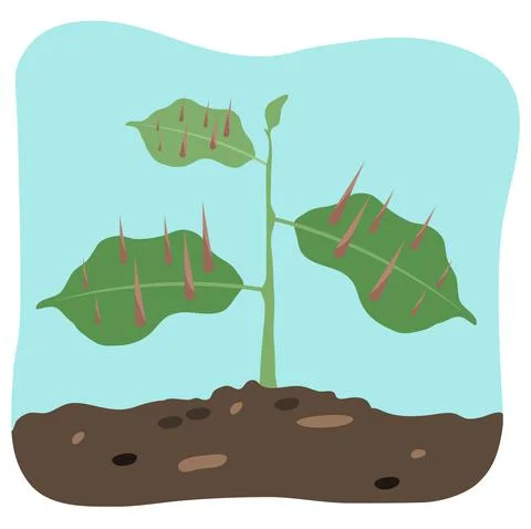 Plant Illustrazione stock