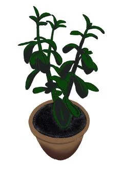 Plant Stock Illustration