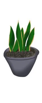 Plant Stock Illustration