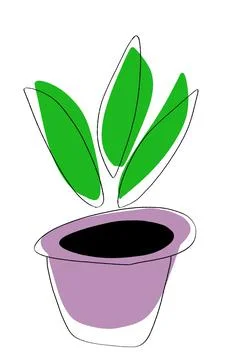Plant, illustration  Stock Illustration