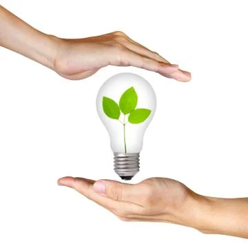 Plant inside light bulb between two hands Stock Photos