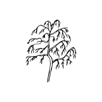 The plant is isolated on a white background Stock Illustration