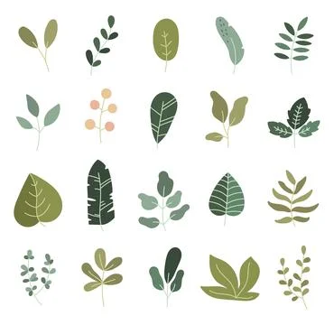 Plant leaf inspired shape set Stock Illustration