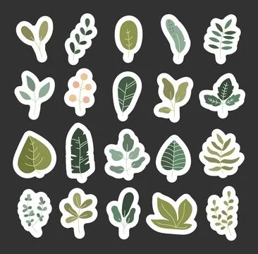 Plant leaf inspired shape set Stock Illustration