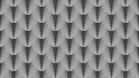 Plant leaf pattern on white background. Flowers tile filled pattern backgro.. 스톡 동영상 229518117