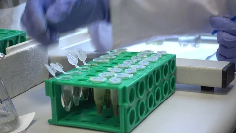 Plant Leaf Sample Stock Footage 87274934