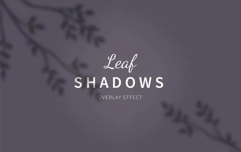 Plant leaf shadow background, flowers and leaves. Overlay shade natural texture 스톡 일러스트