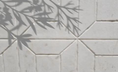 Plant leaf shadow overlay on geometric stone tile wall background . Stock Illustration