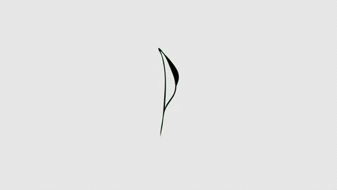 Plant leaf tree leaves flying on wind icon loop Animation video transparent.. Stock Footage 234064934