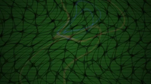 Plant leaf vein network pattern closeup. Video stock 335374112