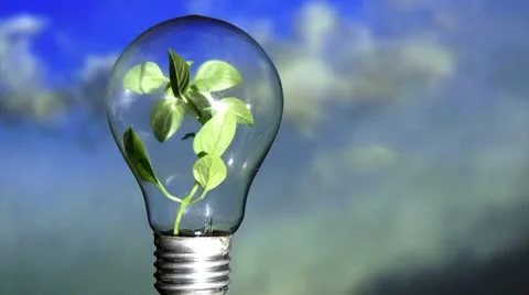 Plant in light bulb, sky Видео 8948777