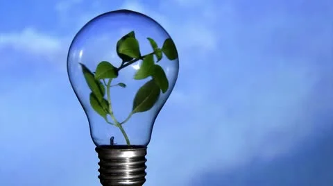 Plant in light bulb, sky Video stock 8948946