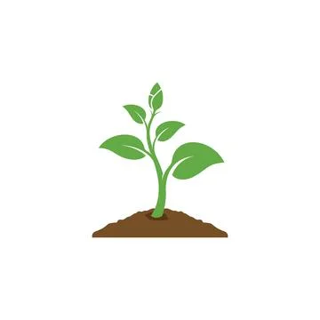 Plant logo design. Stock Illustration