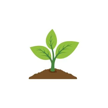 Plant logo design. Stock Illustration