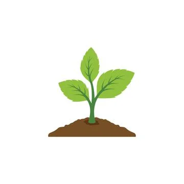 Plant logo design. Stock Illustration