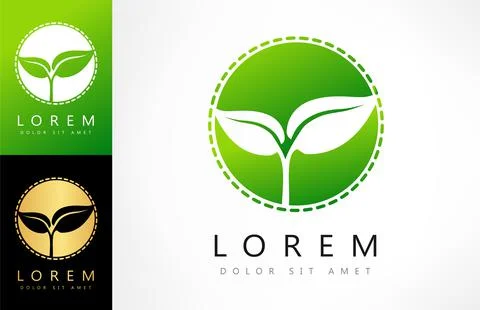 Plant logo. Leaves vector design. Stock Illustration