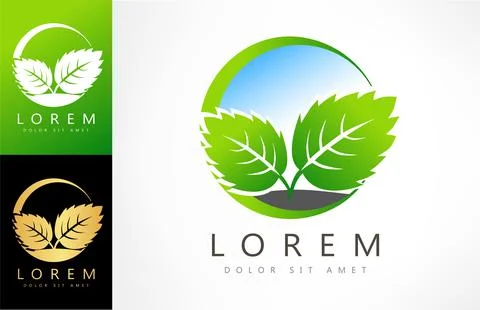 Plant logo. Leaves vector design. Stock Illustration