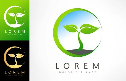 Plant logo. Leaves vector design. Stock Illustration