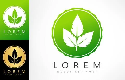 Plant logo. Leaves vector design. Stock Illustration