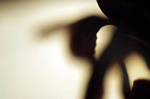 Plant Macro Stock Photos