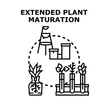 Plant maturation process in genetic engineering concept Stock Illustration