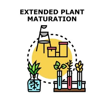 Plant maturation process in genetic engineering concept Stock Illustration