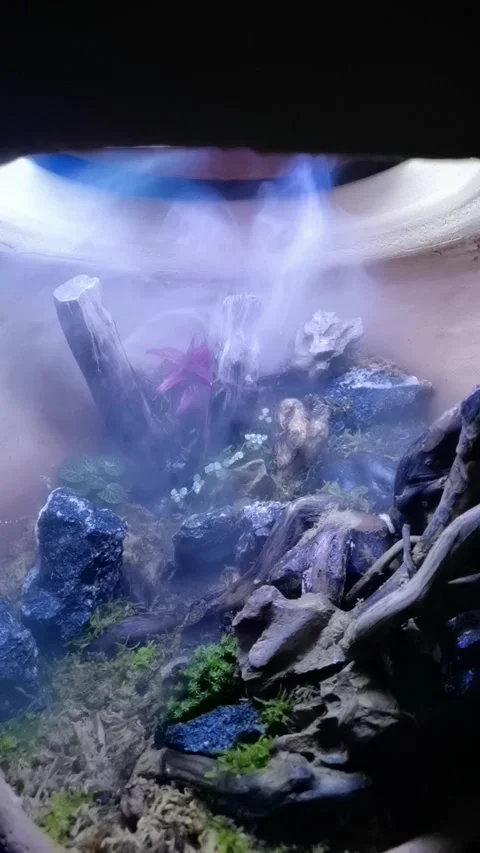 Plant misting slow motion 動画素材 220054456