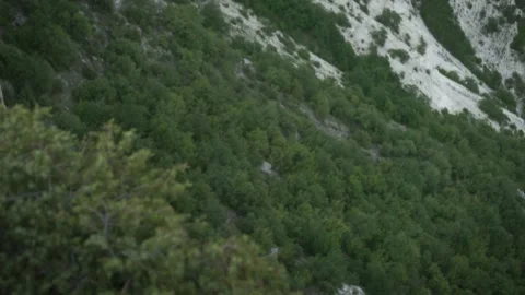 Plant in a mountain that develops in the wind. Footage. Autumn nature landscape Video stock 139091644