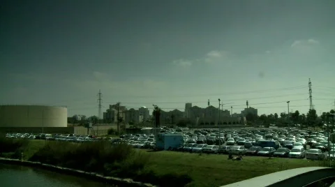 Plant next to nature Stock Footage 463555