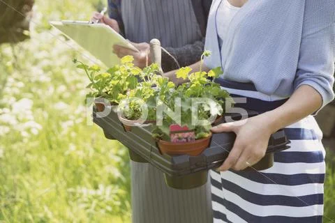 Plant nursery workers with clipboard and potted plants Stock Photos