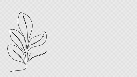 Plant, one line drawing animation. Video clip with alpha channel. Stock Footage 273609986