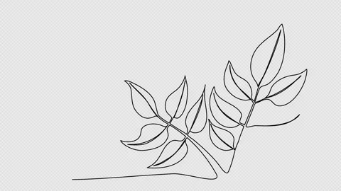 Plant, one line drawing animation. Video clip with alpha channel. Stock Footage 273610316