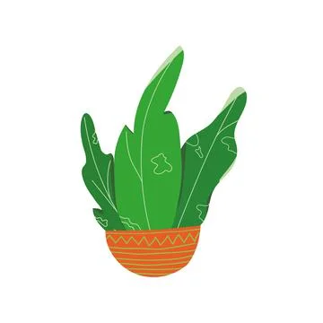 Plant in orange pot Stock Illustration