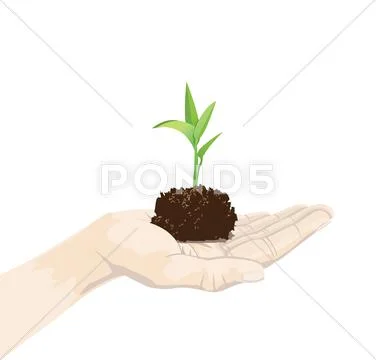 Plant on palm Stock Illustration
