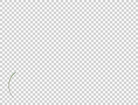 Plant pattern is growing with alpha mask Stock Footage 46723807