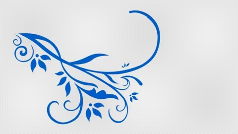 Plant Pattern Growing. Transparent background. Stock Footage 272143883