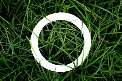 Plant pattern tropical leaf background design Stock Photos