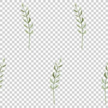 Plant pattern without background. Watercolor hand-drawn illustration Stock Illustration