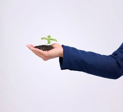 Plant in person hand for business growth isolated on white background, eco Stock Photos