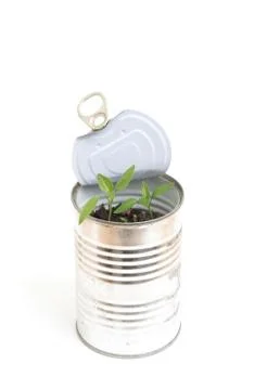Plant Stock Photos