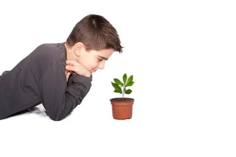 Plant Stock Photos
