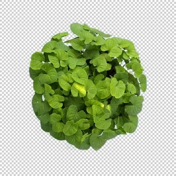 PLANT 写真素材