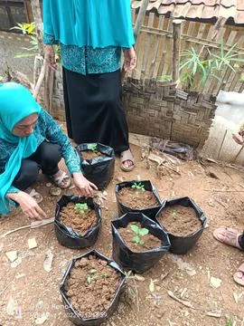 Plant Foto stock