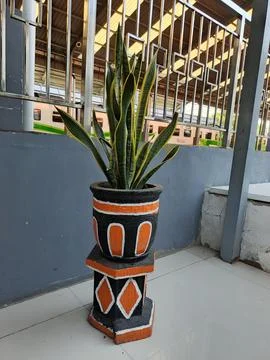 Plant Stock Photos