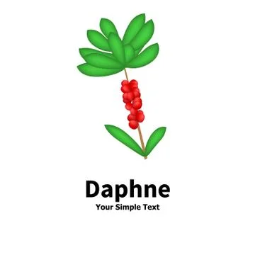 Plant with poisonous berries Daphne Stock Illustration