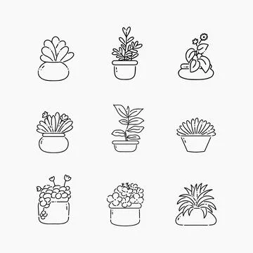 Plant in pot doodle line vector illustration Stock Illustration